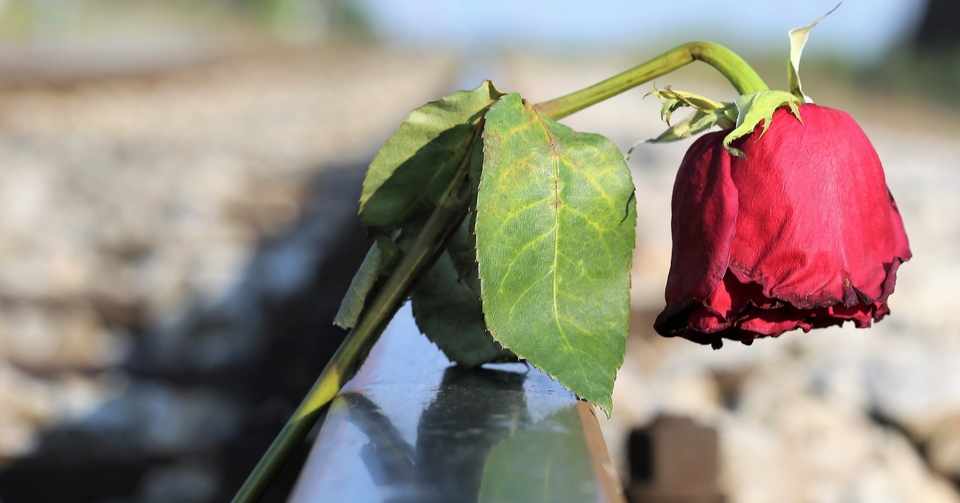 今 聴くべき一曲 洋楽編 For What It S Worth The Cardigans まだ愛してる んだ 一応 念のため Pistachioピスタチオ Note