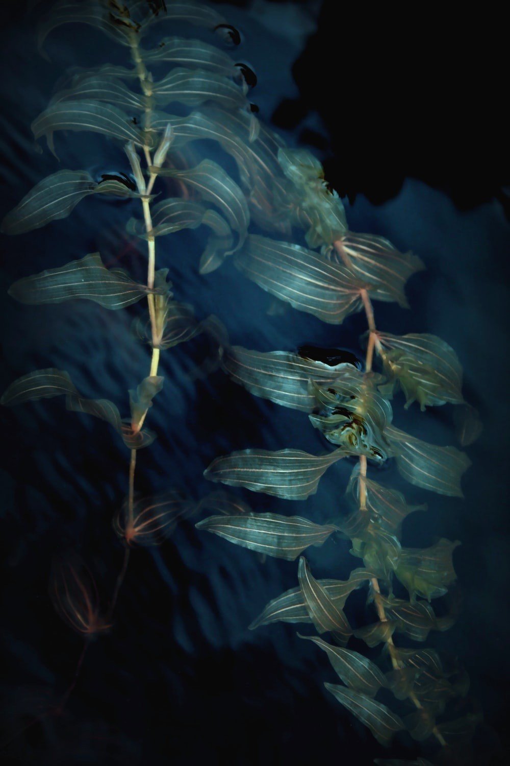 緑色 絵やイラストで気軽に使ってはいけない話 夏木純 Note 緑色 絵やイラストで気軽に使ってはいけない話 夏木純 Note