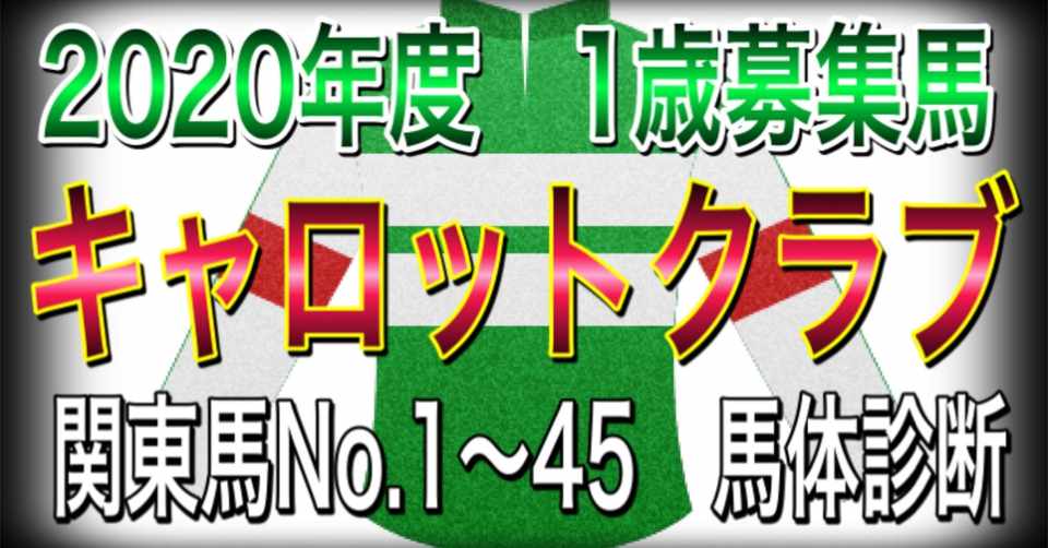 キャロットクラブ 年度 1歳募集馬 馬体診断 馬体分析一口馬主 馬体 いっちゃんねる 一口馬主 Note