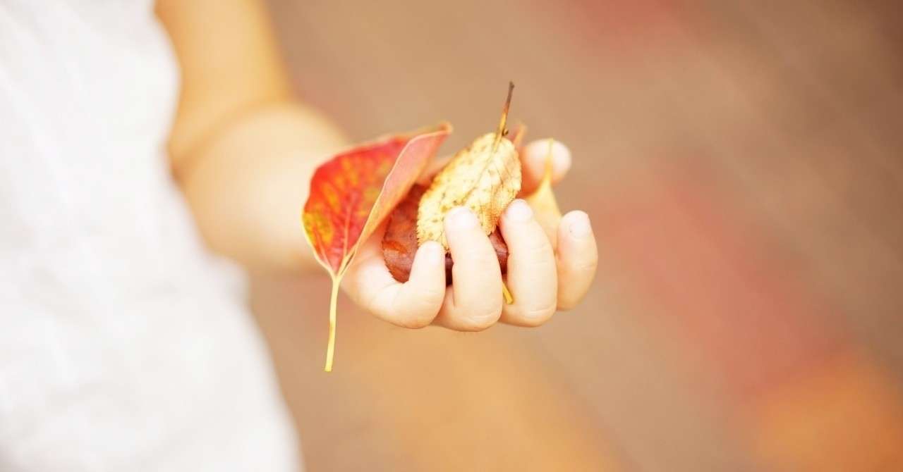 赤子 かいよ Note