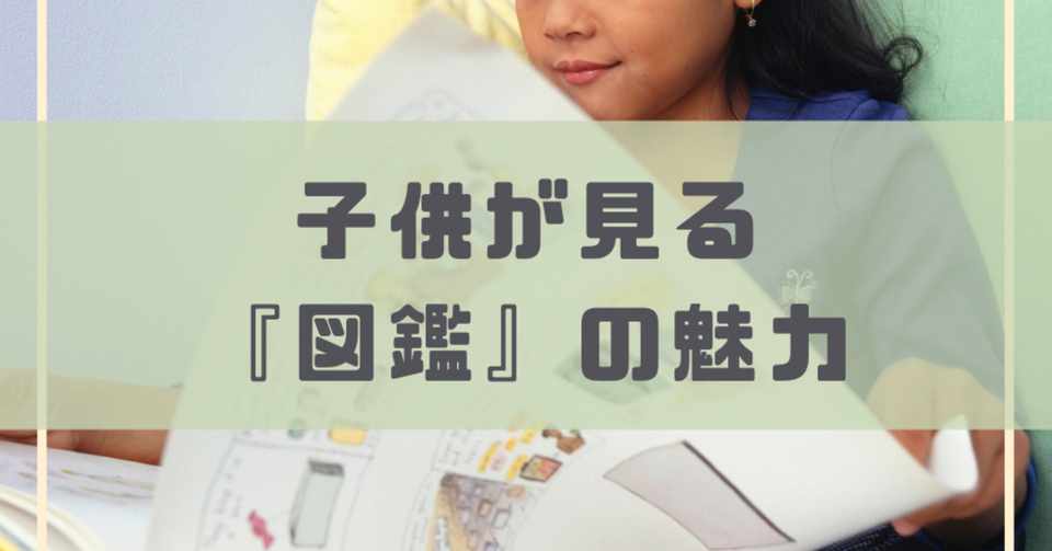 子供が見る 図鑑 の魅力 パパセラ 子育て療法士 Note