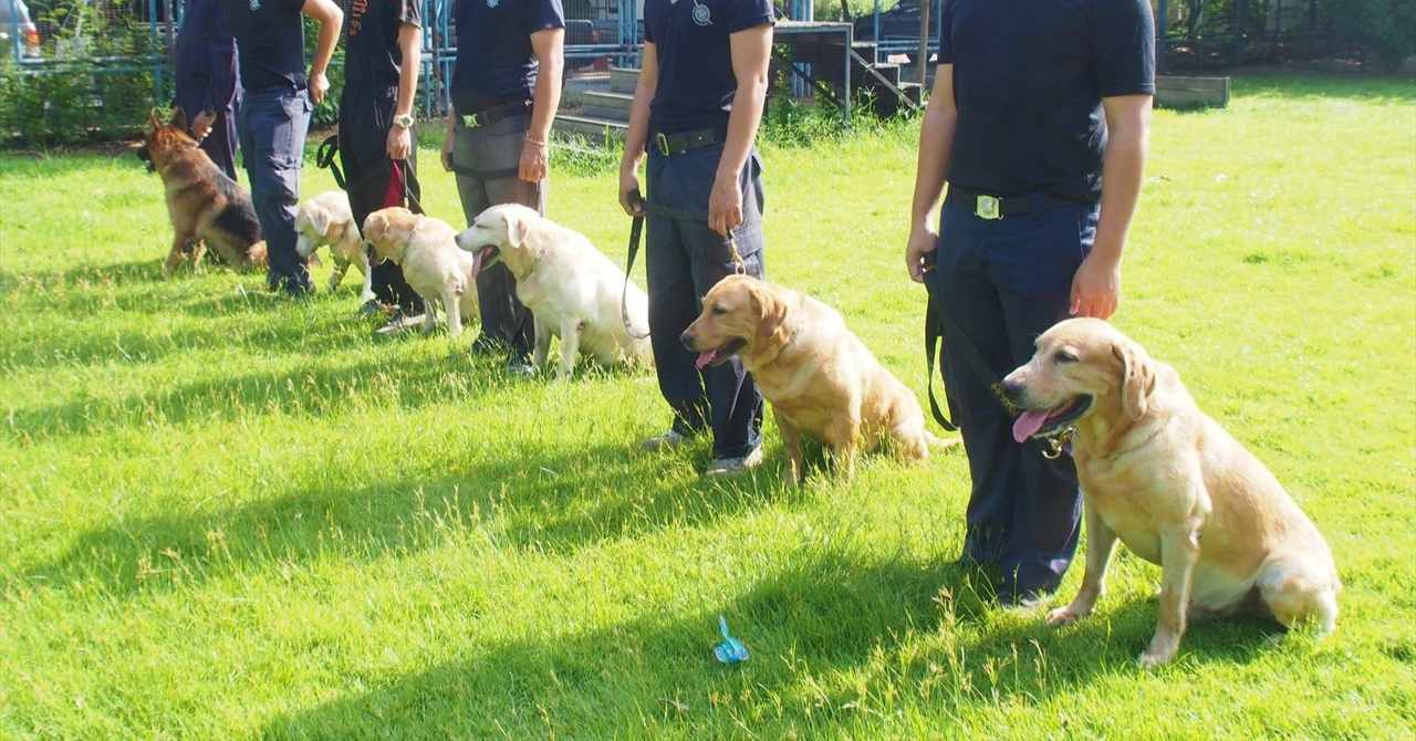 警察犬 の新着タグ記事一覧 Note つくる つながる とどける