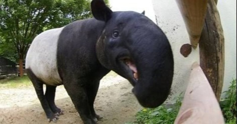 由来のない名前 東海林セナ Note