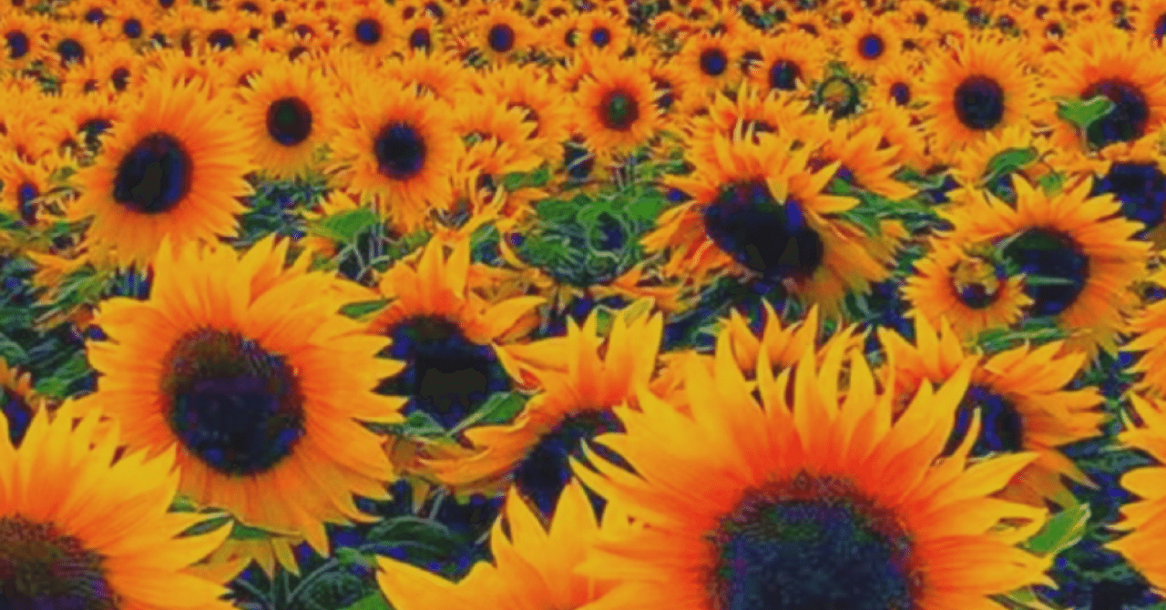 周りのみんなは私を強くて明るい女の子だと思っている でも 向日葵 Note 周りのみんなは私を強くて明るい女の子だと思っている でも 向日葵 Note