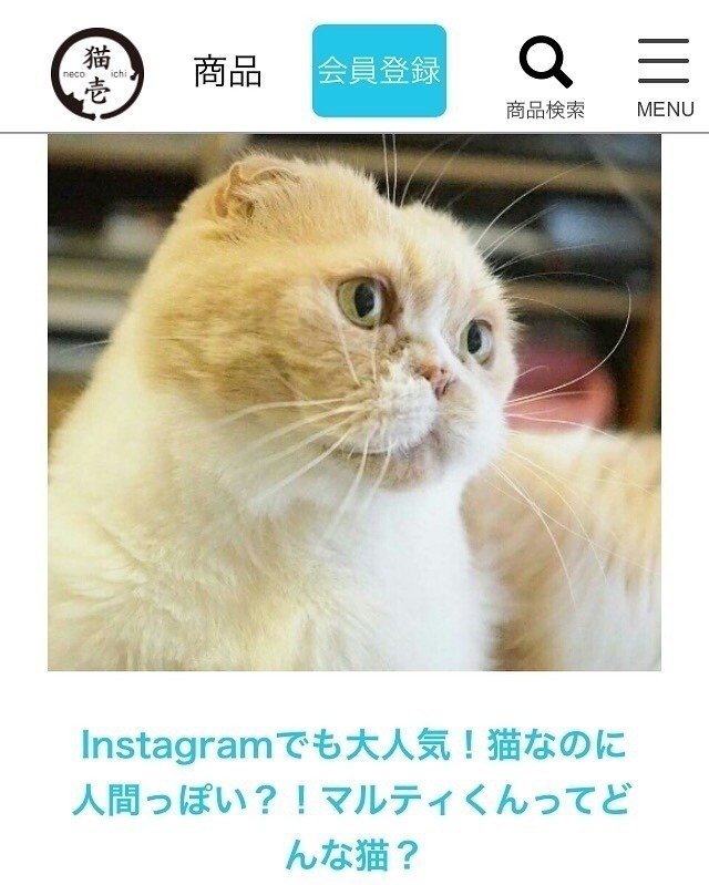 https://www.necoichi.co.jp/
猫用品でお世話になっている「猫壱」さんのブログでうちのマルティを紹介していただきました(-L-)ｸｸｸ

#猫壱 #猫 #ねこ #ネコ #cat
