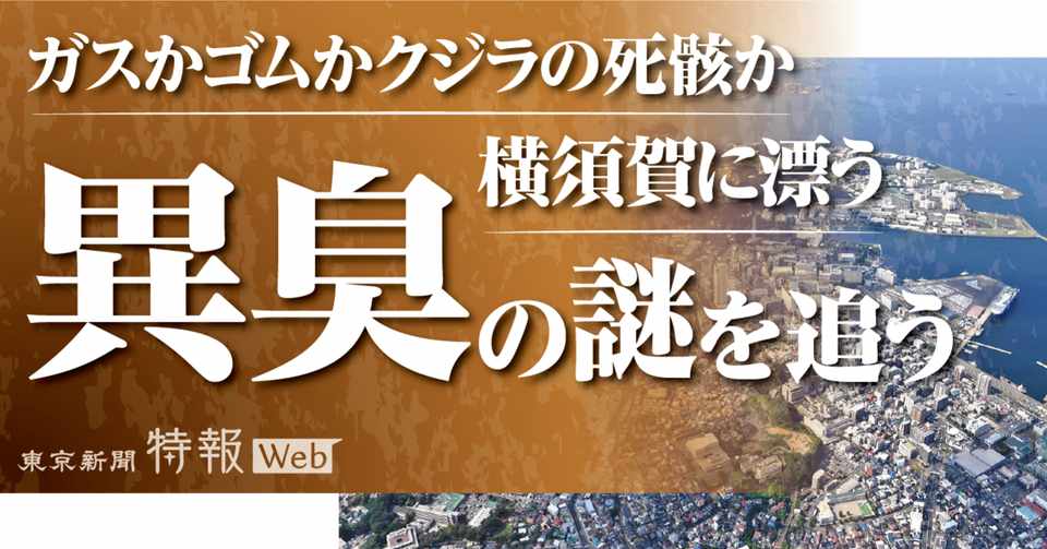 クジラの死骸 巨大地震の前兆 横須賀に漂う謎の異臭を追う 東京新聞 特報web