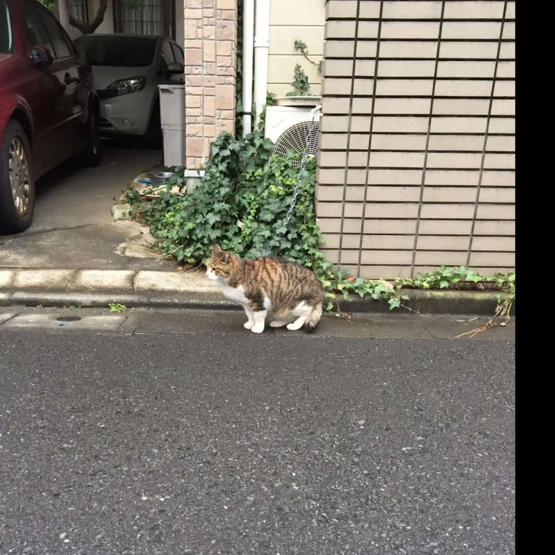 ワーママnaomi