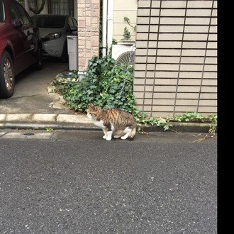 トップに移動