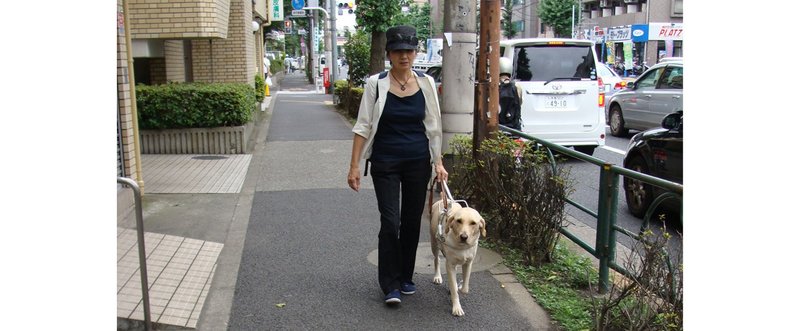 視覚障がい者ってどんな人 盲導犬ってなぁに 子育て新聞 Note