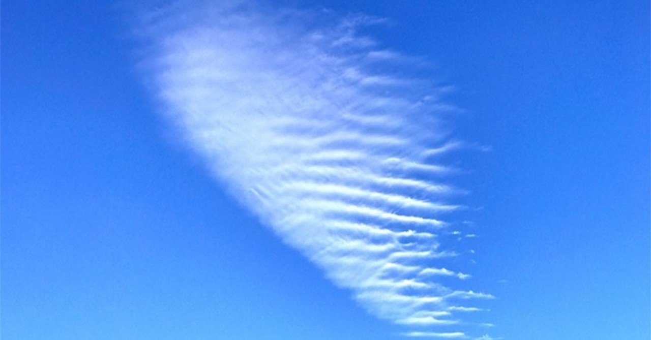 小林よしのり コロナ論 猪浦直樹 Note 小林よしのり コロナ論 猪浦直樹 Note