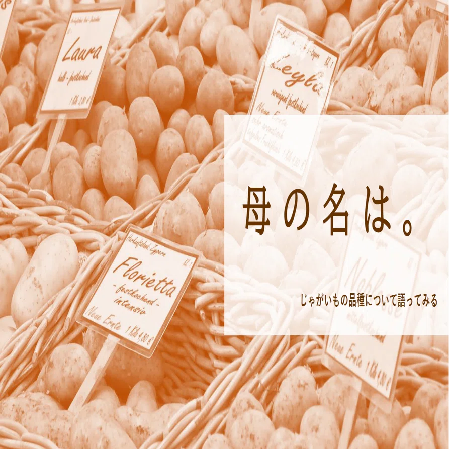 母の名は 第8回 メークイン 雲形ひじき Note