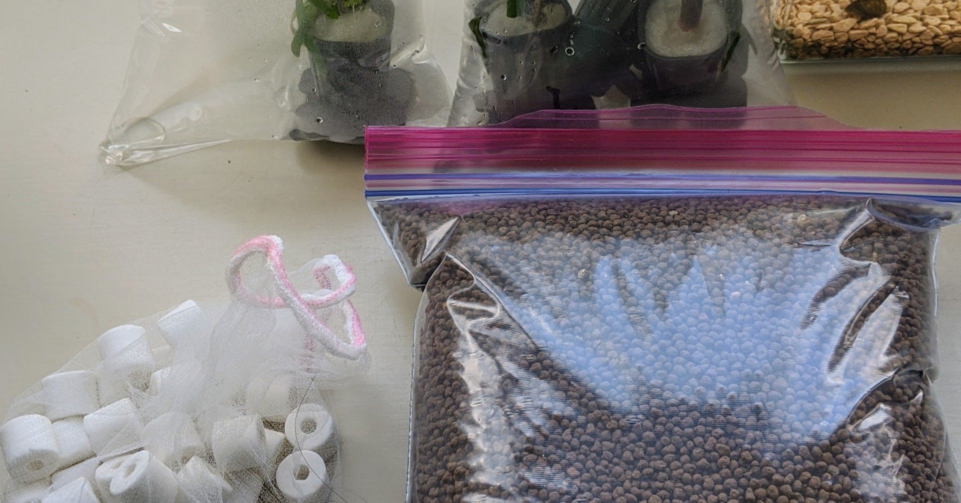 水槽立ち上げ ４ 水槽作るよ 町田 奈桜 Nao Machida Note