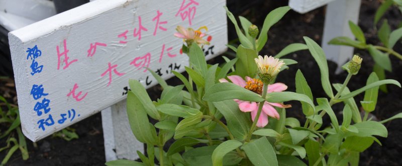 【特集　熊本地震：１】私にできること。それは伝えること。