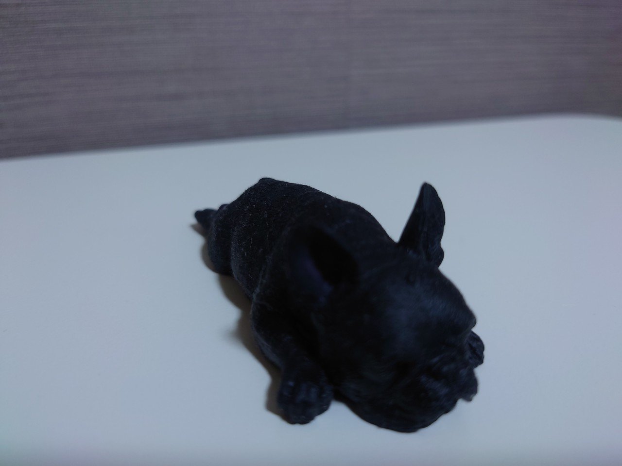 画像17