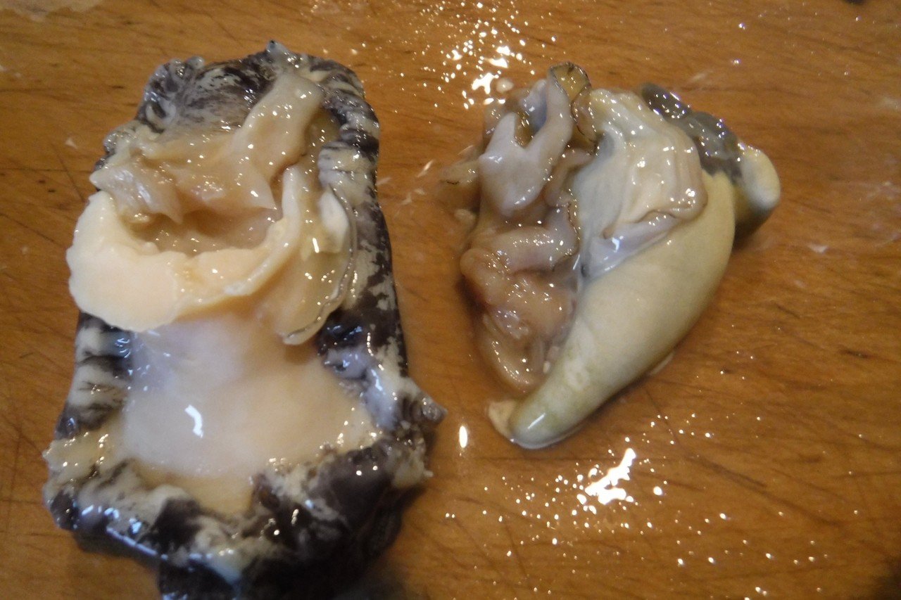 鮑のステーキ かなこ Note