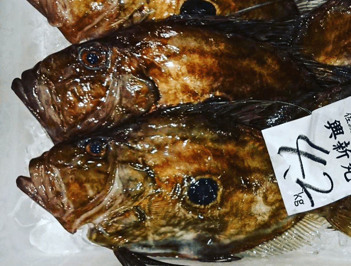 新潟 佐渡沖のカガミダイとマトウダイ 魚が来る 明日 新潟から 鮮魚通販 Note 新潟 佐渡沖のカガミダイとマトウダイ 魚が来る 明日 新潟から 鮮魚通販 Note