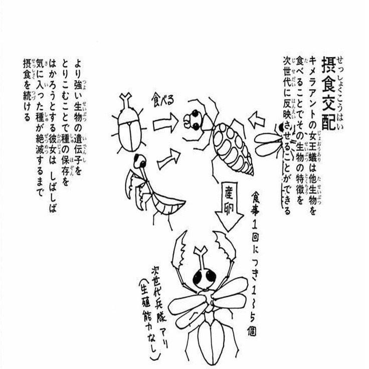 誰よりも誰よりも誰よりも 人 に成ったメルエム やまだくにあき Note