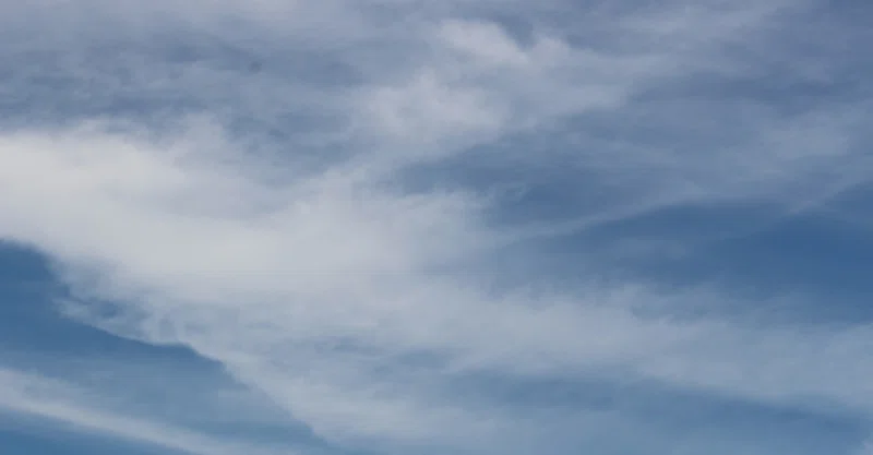 かぼちゃ好きな人 ごぉろ Note