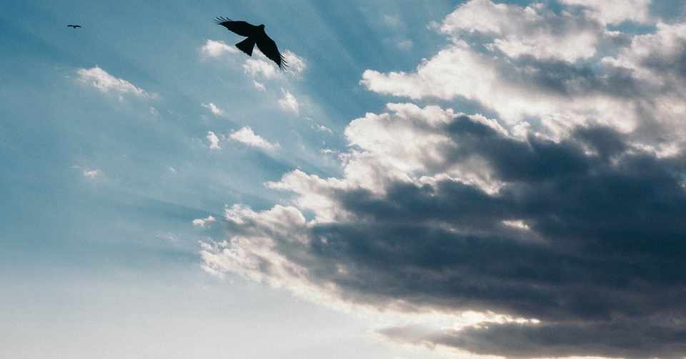 死んだ人たち 生きている私 Haruna Yamaguchi Note