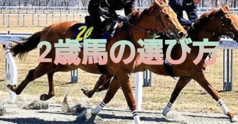 2歳馬【若駒】の選び方