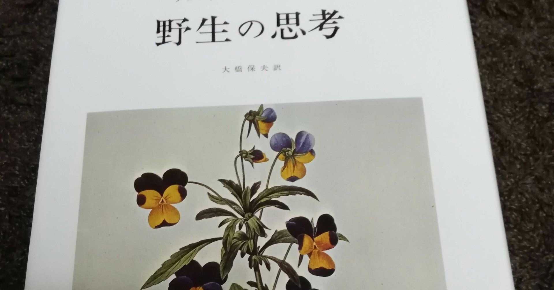 レヴィ＝ストロース「野生の思考」のスキーマ｜なかそね