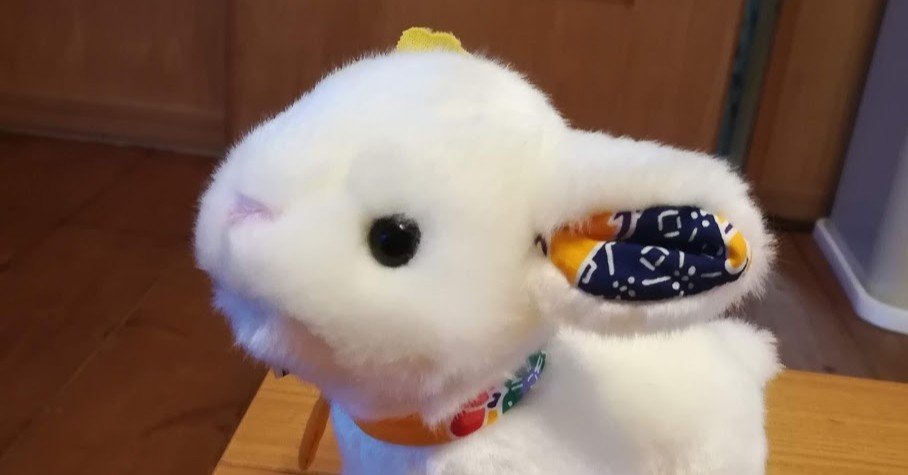 a3127ad0829ecfc8ee3e091cf02ce1