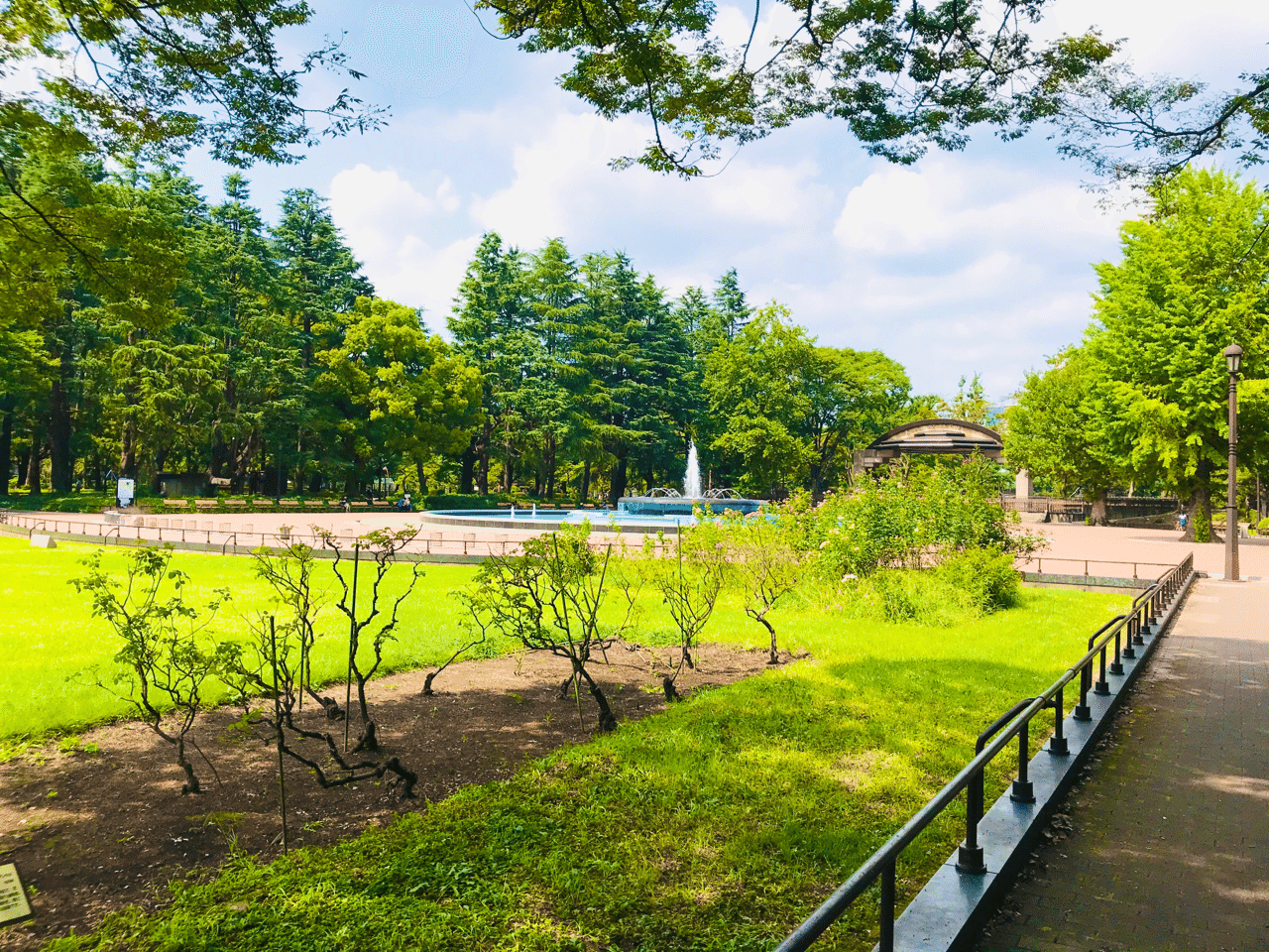 ほっこりしたこと 都会のオアシスin日比谷公園 Nana Note ほっこりしたこと 都会のオアシスin日比谷公園 Nana Note