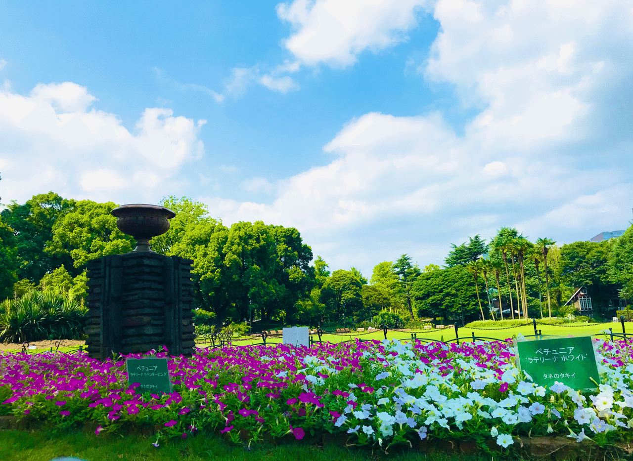 ほっこりしたこと 都会のオアシスin日比谷公園 Nana Note ほっこりしたこと 都会のオアシスin日比谷公園 Nana Note