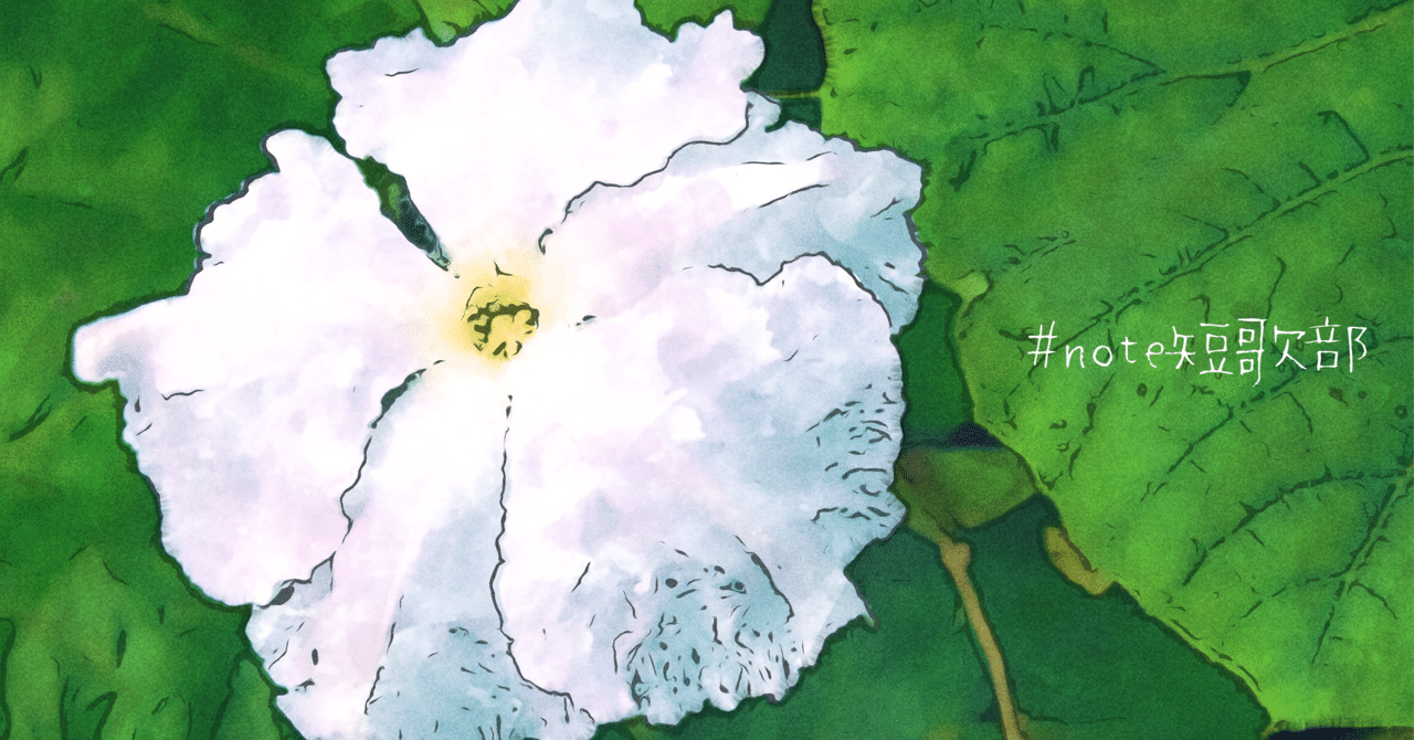 短歌 8月27日 誕生花は夕顔 Note短歌部 御子柴 流歌 Note 短歌 8月27日 誕生花は夕顔 Note短歌部 御子柴 流歌 Note