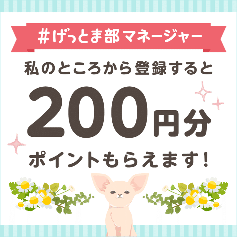 ニンテンドープリペイドを無料で手に入れる方法 年最新版 げっとまの使い方を徹底解説 Note