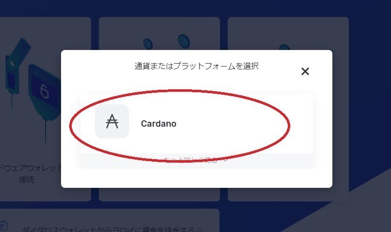 ヨロイ 通貨選択
