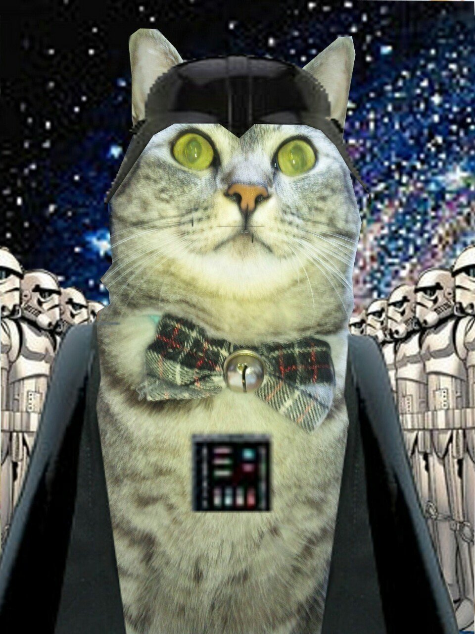 猫について４ 猫は宇宙人であるという説を検証する Tomado Note