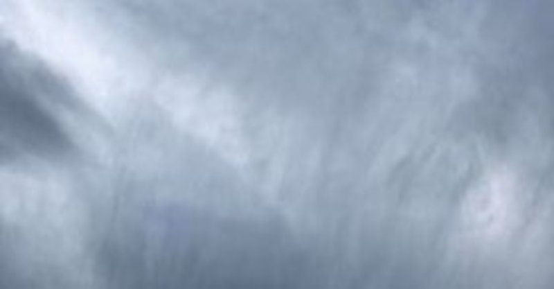 この淀んだ世界に水をあげようじゃないか 辻和馬 Note