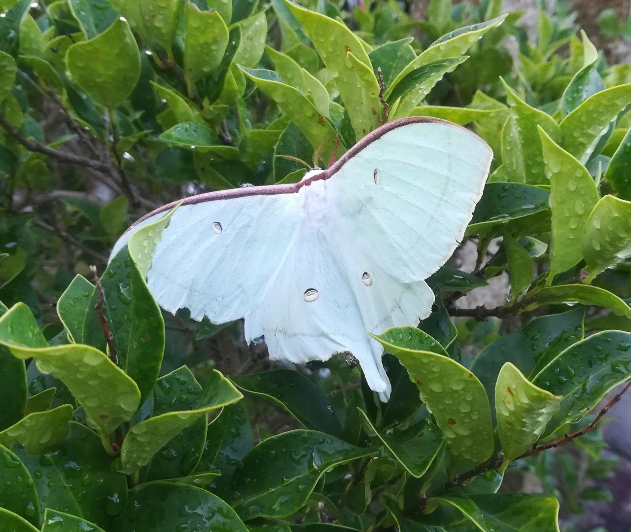 出逢えた奇跡 ゆらり Note 出逢えた奇跡 ゆらり Note