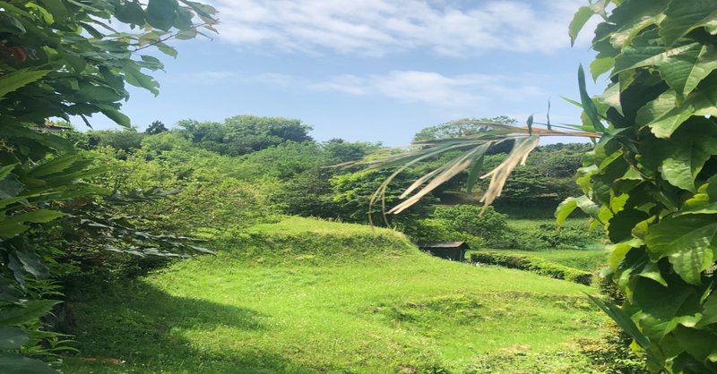 ✴︎City Farming Wife✴︎駅近賃貸農家のリモートワーク