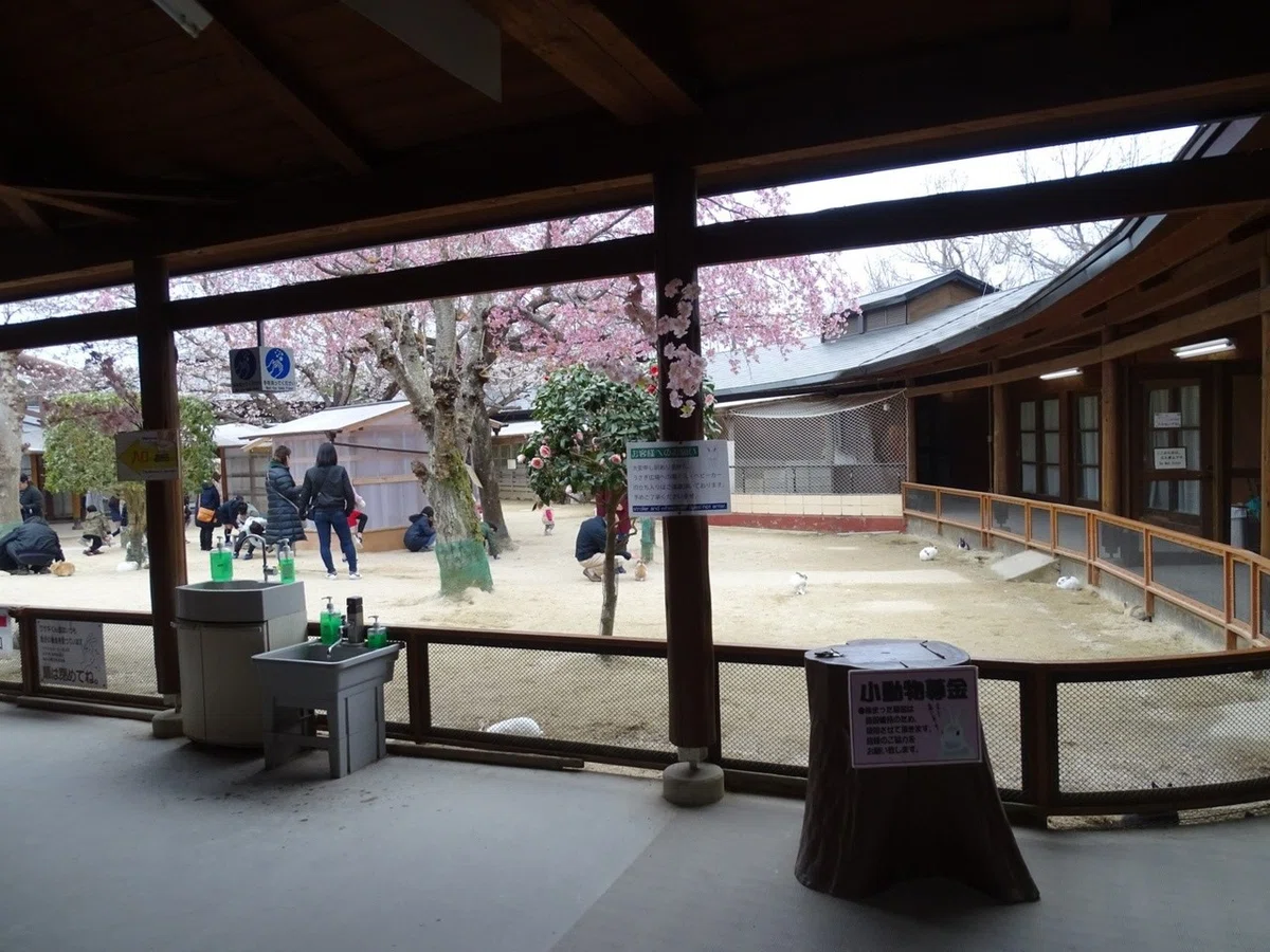 牛久大仏動物園全景