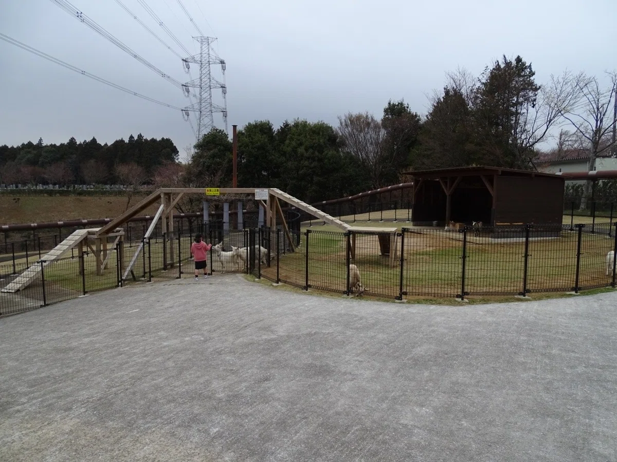牛久大仏動物園全景2