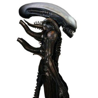 ポケモン縛りプレイ レギュレーション 私室 Note