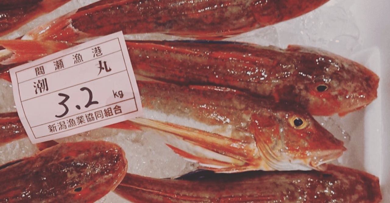 新潟 佐渡沖のホウボウと佐渡のワイン 魚が来る 明日 新潟から 鮮魚通販 Note 新潟 佐渡沖のホウボウと佐渡のワイン 魚が来る 明日 新潟から 鮮魚通販 Note