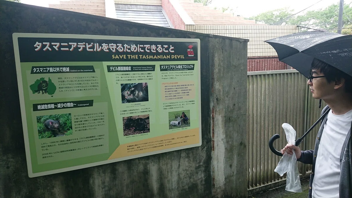 タスマニアデビルの保護について考えるgarsue