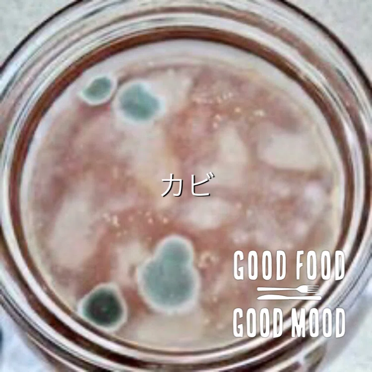 コンブチャ このscoby元気 Anera Note