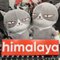 himalaya_Japan