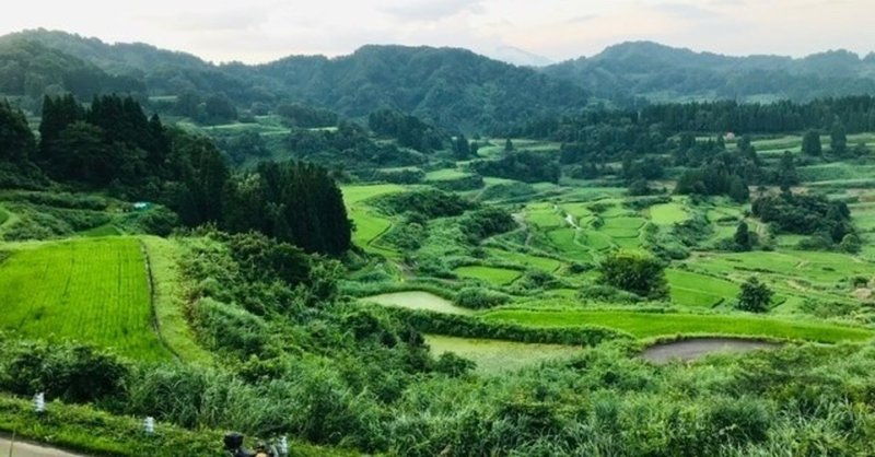 【バイク女子旅】2日目:燃費68.8km/L！(ガソリン代1388円)　モンキー125で千葉〜新潟・星峠の棚田を観にいきました