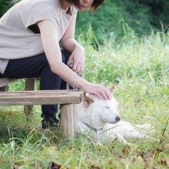 愛犬のおむつ 適正サイズは 犬の介護 Una Ricca Note
