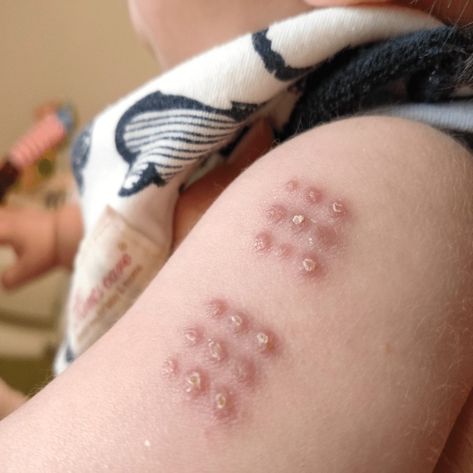 我が子の成長日記 誕生から1年間の記録 Mc Kurita Note