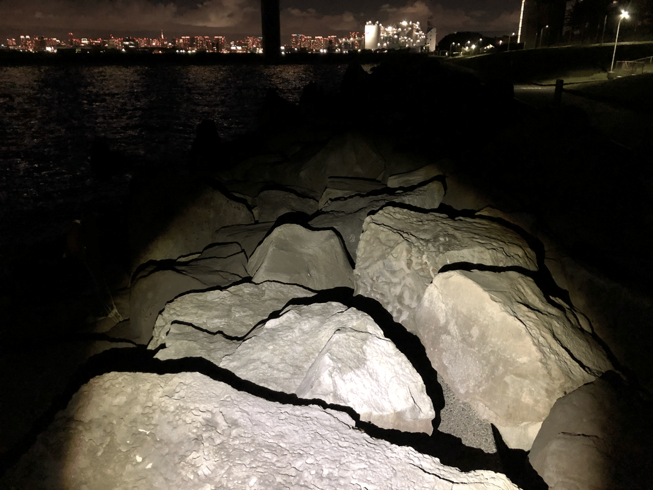 若洲海浜公園で夜景撮影 えま Note