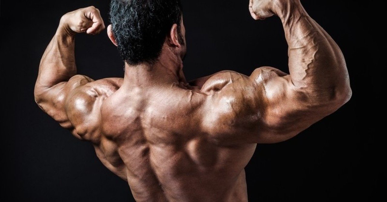 グラップラー刃牙 範馬勇次郎の勝利条件 頭の高さが高い方が勝者 橋岡克仁 Note