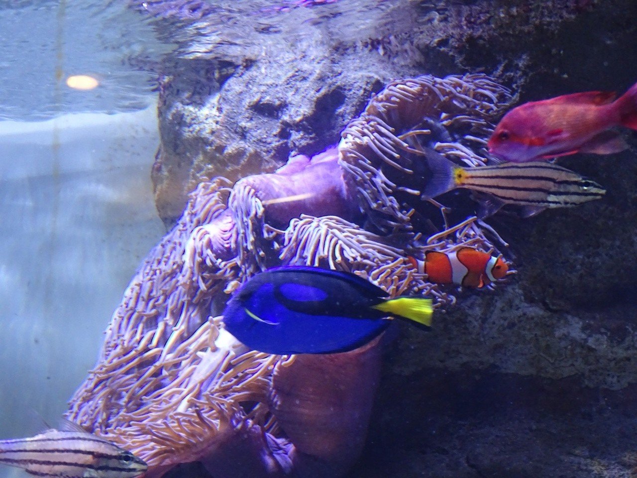 ZASO:003】東京都 #板橋区立熱帯環境植物館｜ZASOちゃんねる