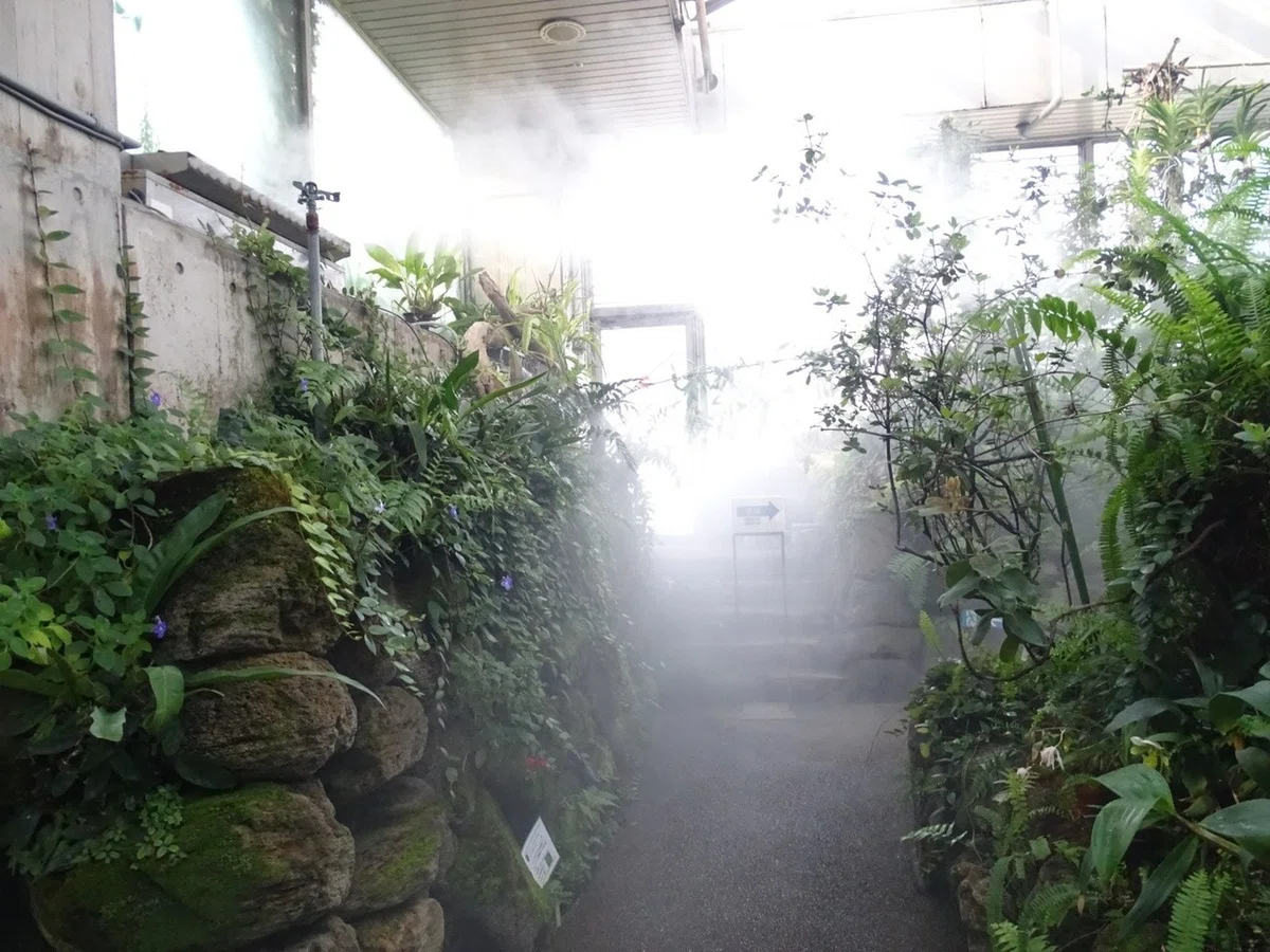 画像9