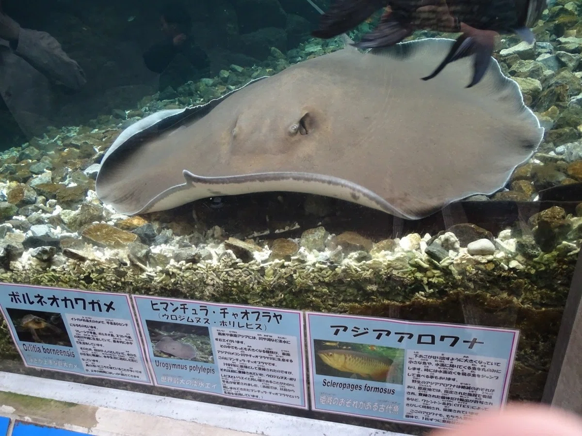 画像13